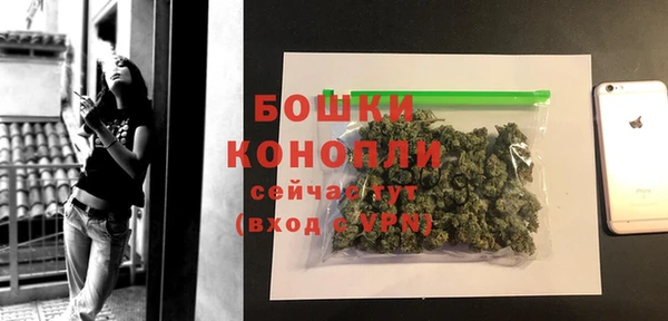 дмт Верея