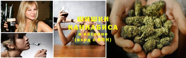 дмт Верея