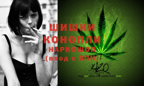 ПСИЛОЦИБИНОВЫЕ ГРИБЫ Верхнеуральск
