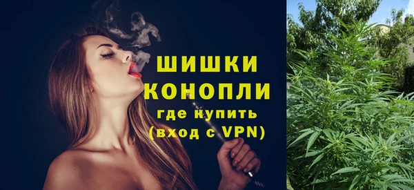 дмт Верея