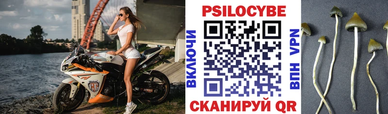 hydra как войти  Камышлов  Псилоцибиновые грибы мухоморы 